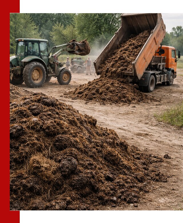 Доставка навоза самосвалами в Чебаркуле для сельхозпотребностей