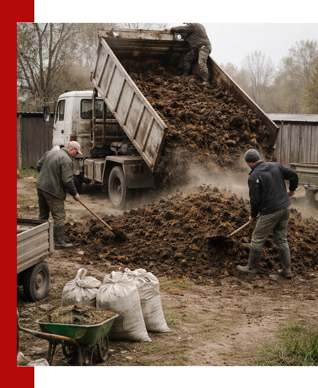 Доставка коровьего навоза самосвалом в Чебаркуле